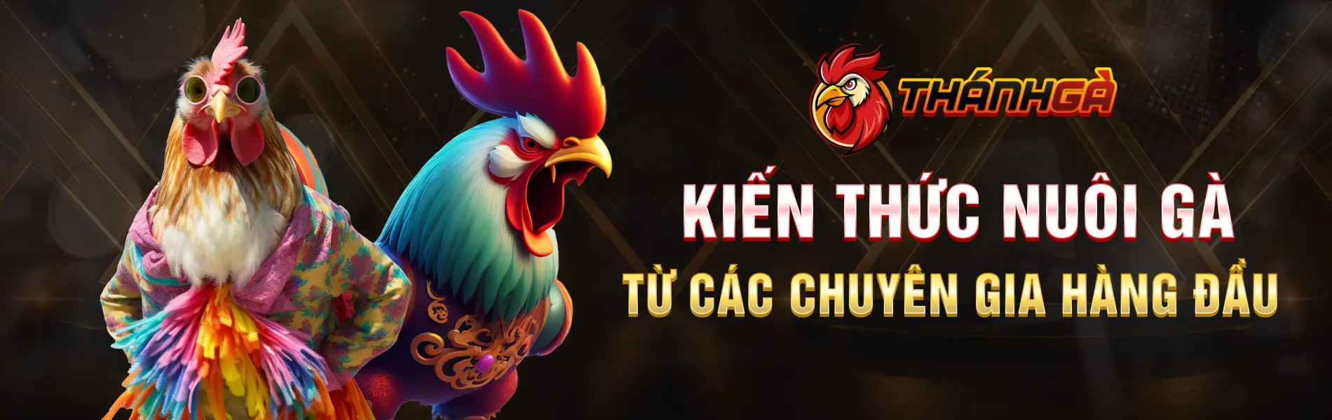 thánh gà banner