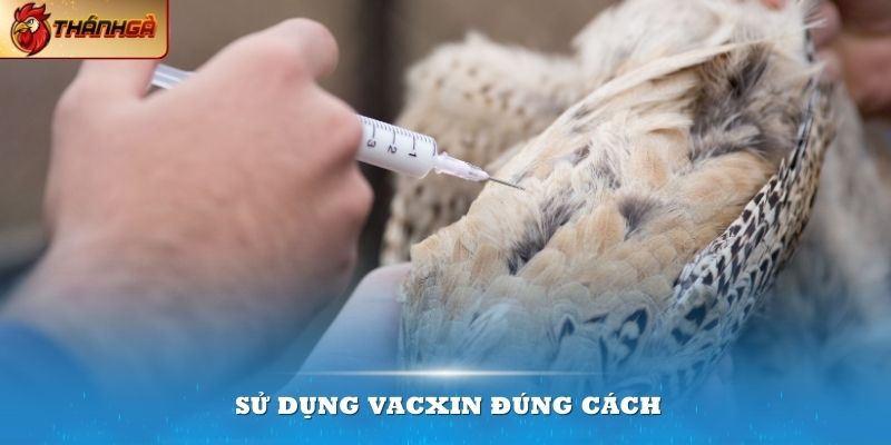 Sử dụng vacxin đúng cách và hiểu rõ sẽ giúp bạn tiến hành thuận lợi hơn