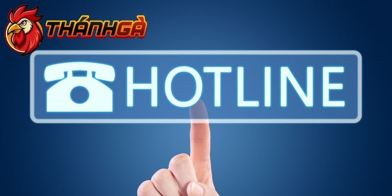 Hotline là cách kết nối Thánh Gà nhận được phản hồi ngay tức thì