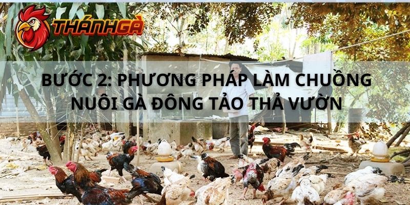 Cách làm chuồng dành riêng cho gà Đông Tảo thả vườn