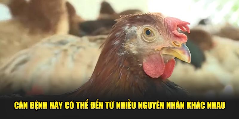 Căn bệnh này có thể gây ra bởi nhiều lý do nhau