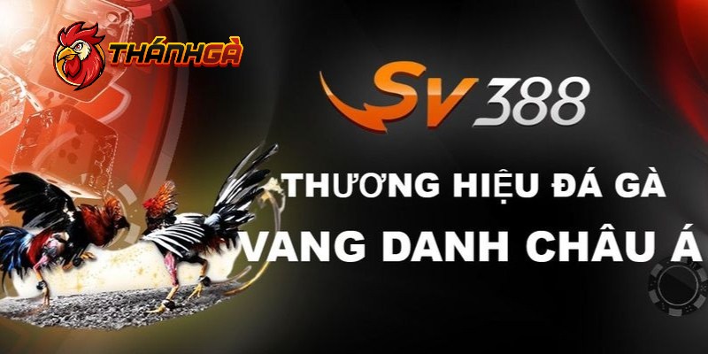 Sảnh SV388 lựa chọn nhiều vì độ hấp dẫn và an toàn