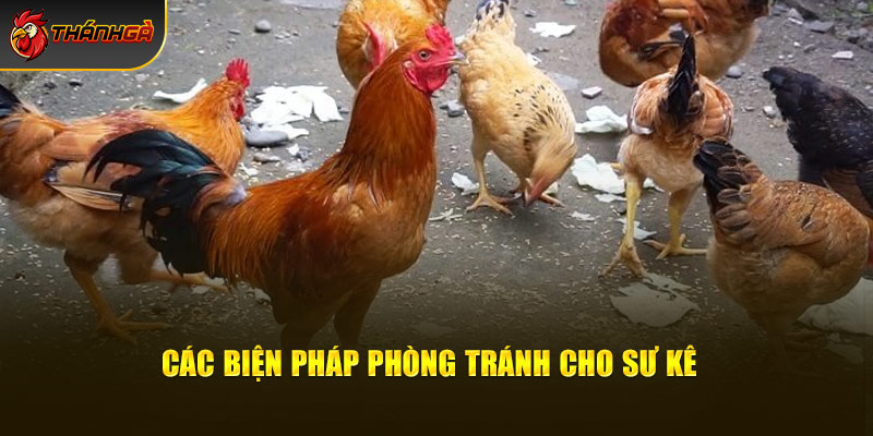 Các biện pháp phòng tránh cho nông dân chăn nuôi