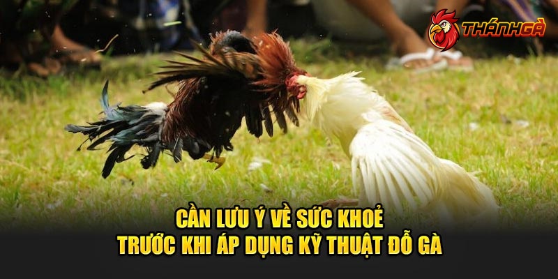 Cần lưu ý về sức khoẻ trước khi áp dụng kỹ thuật đổ gà 