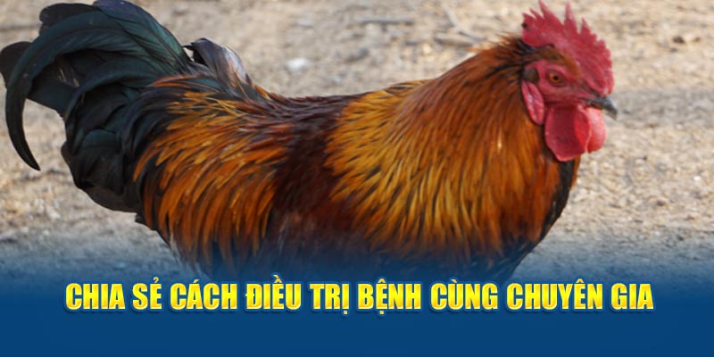 Chia sẻ cách điều trị bệnh cùng chuyên gia