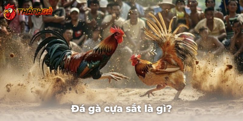 Giải thích chi tiết đá gà cựa sắt là gì