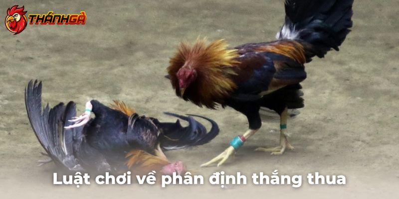 Luật chơi cụ thể về việc phân định thắng thua