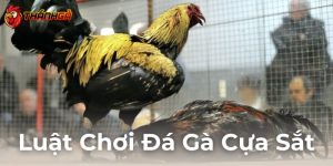 Luật Chơi Đá Gà Cựa Sắt